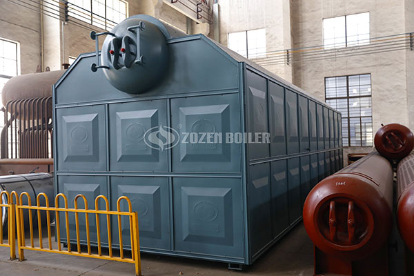 2020 6 ton biomass boiler