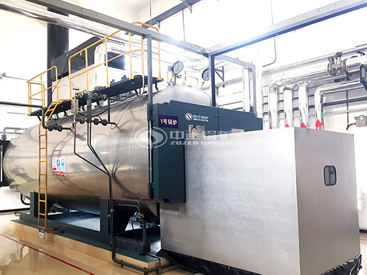 WNS 10 ton gas fired steam boiler
