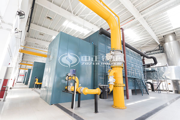 20 ton natural gas steam boiler in power plant station