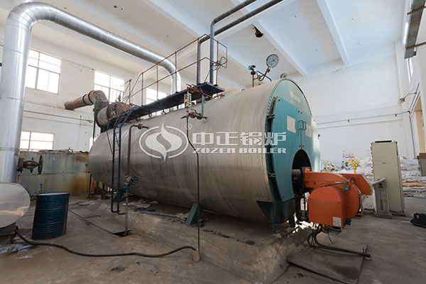 20 ton wns gas fired boiler