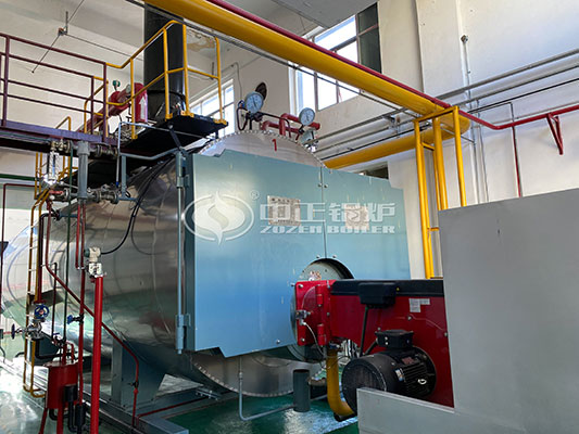 cost of 10 ton wns gas oil fired boiler
