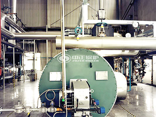 use of 20 ton boilers in dairy industry