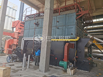 10tph biomass steam boiler in Philippines