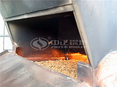 biomass particles entered in boiler furnace