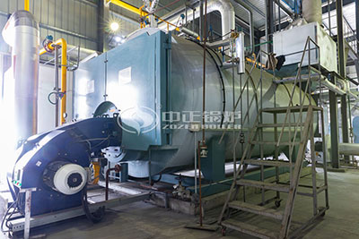 gas fired boiler for feed industry