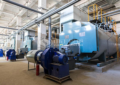 zozen gas steam boiler in refinery industry