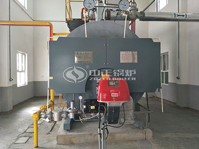 wns gas boiler manufacturer