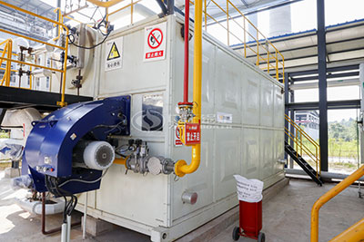 gas-fired condensing boiler