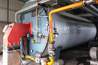 gas-fired thermal oil boiler