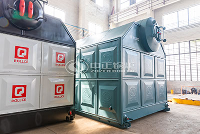 biomass fired hot water boiler