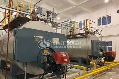 industrial wns gas boiler