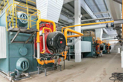 szs natural gas-fired boiler