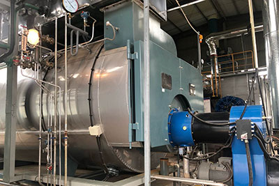 wns condensing gas-fired boiler