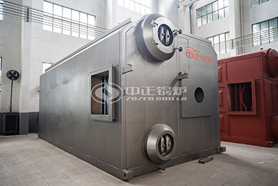 20tons gas steam boilers