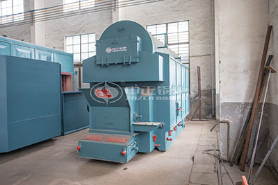 dzl biomass-fired chain grate boiler