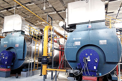 wns diesel oil steam boiler