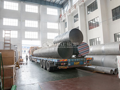 wns gas fired boiler