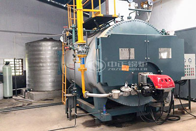 3ton wns gas steam boiler