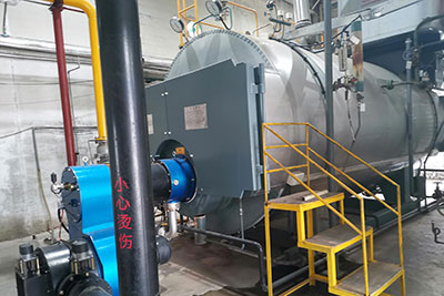 6ton wns gas boiler for paper plant