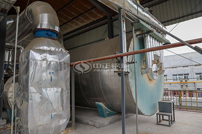 gas oil fired thermal oil heater