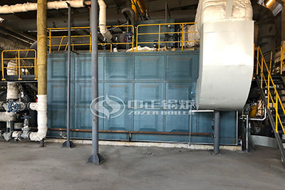 biogas fired boiler site