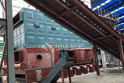 coal biomass fired thermal oil heater