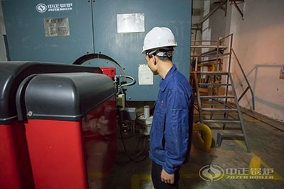 wns gas fired hot water boiler