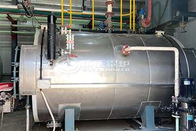 wns gas fired steam boiler