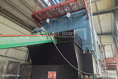 6000kg coal chain grate boiler
