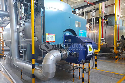 WNS series gas fuel condensing boiler