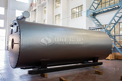 gas fired thermal oil boiler