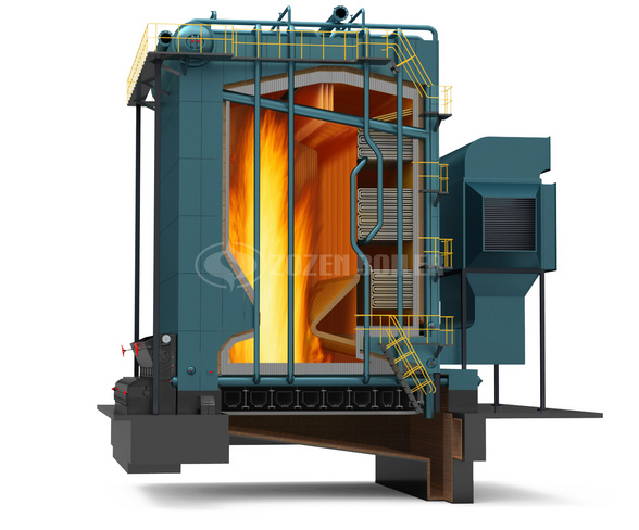 dhl biomass fired steam boiler