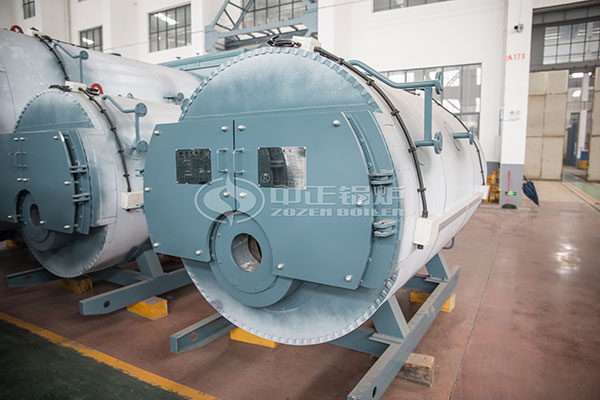 wns 40 ton gas fired boiler price
