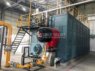 20 ton hot water boiler