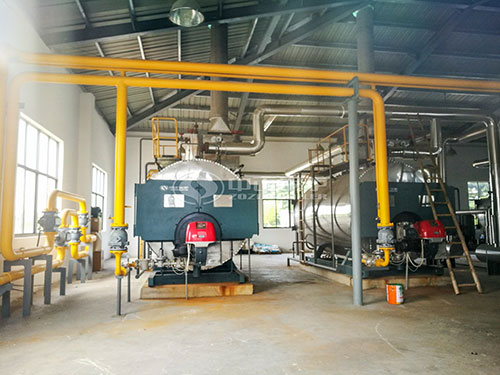 wns industrial3 ton boiler