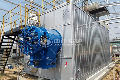 We were very grateful to ZOZEN Boiler for providing our production base with the highly efficient SZS series gas-fired steam boiler. As a long-term partner of Andre Group, ZOZEN Boiler is always reliable and trustworthy. We believed that such a friendly cooperation will continue to be maintained and improved for greater development.
