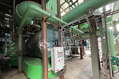 yyw gas thermal oil boiler