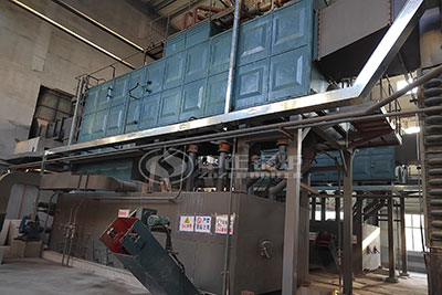 ZOZEN coal biomass fired steam boiler