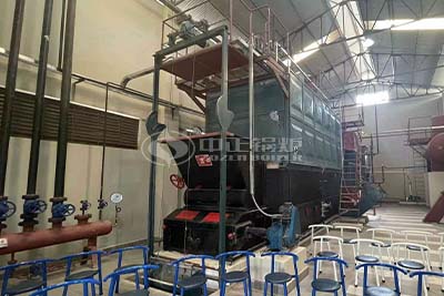 6 ton coal fired steam boiler